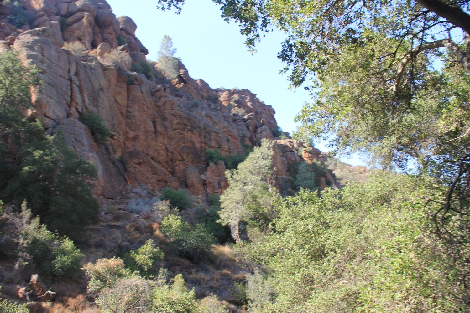 Bear Gulch Cave Trail 